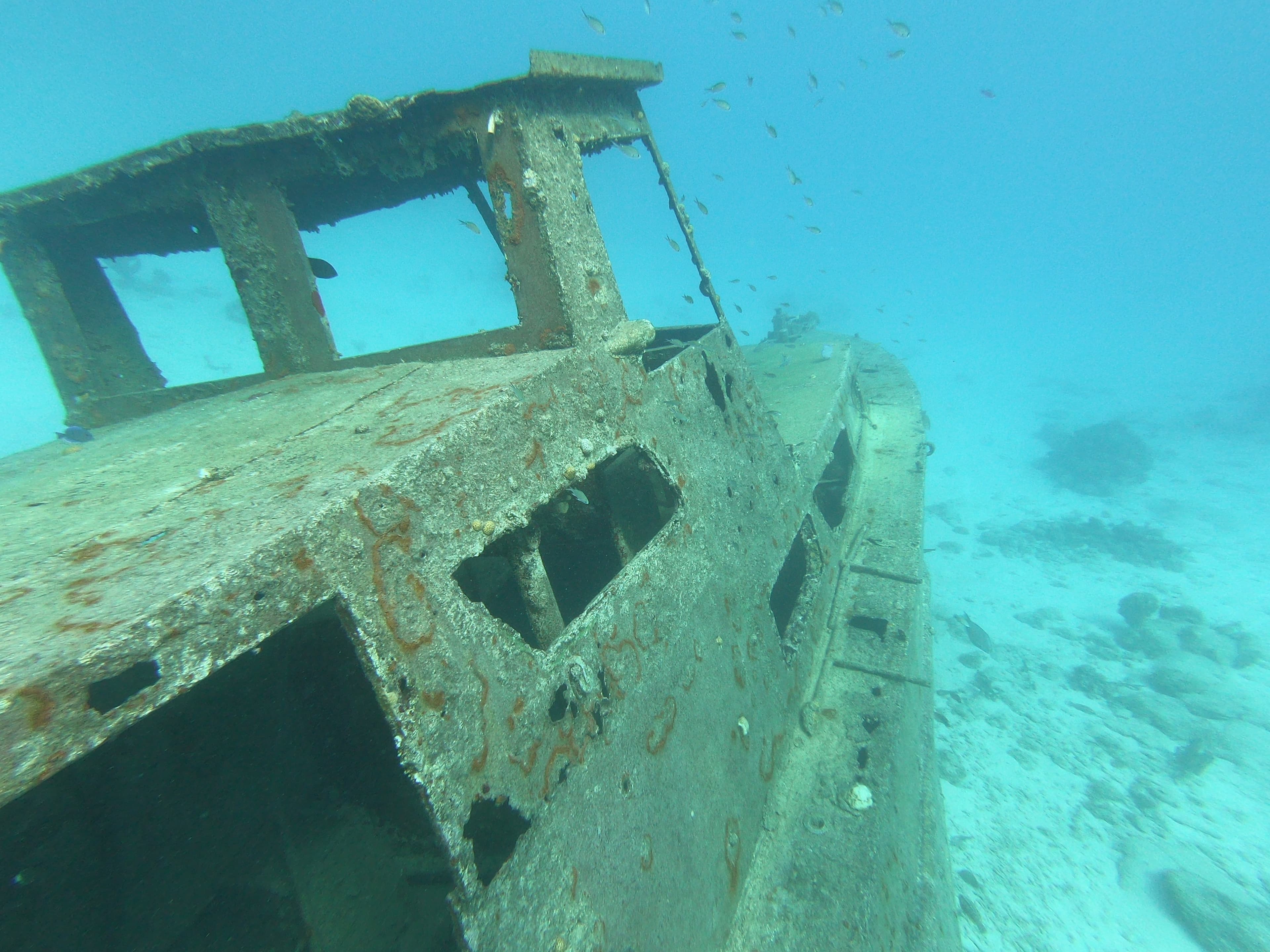Divers exploring a wreck in Aruba