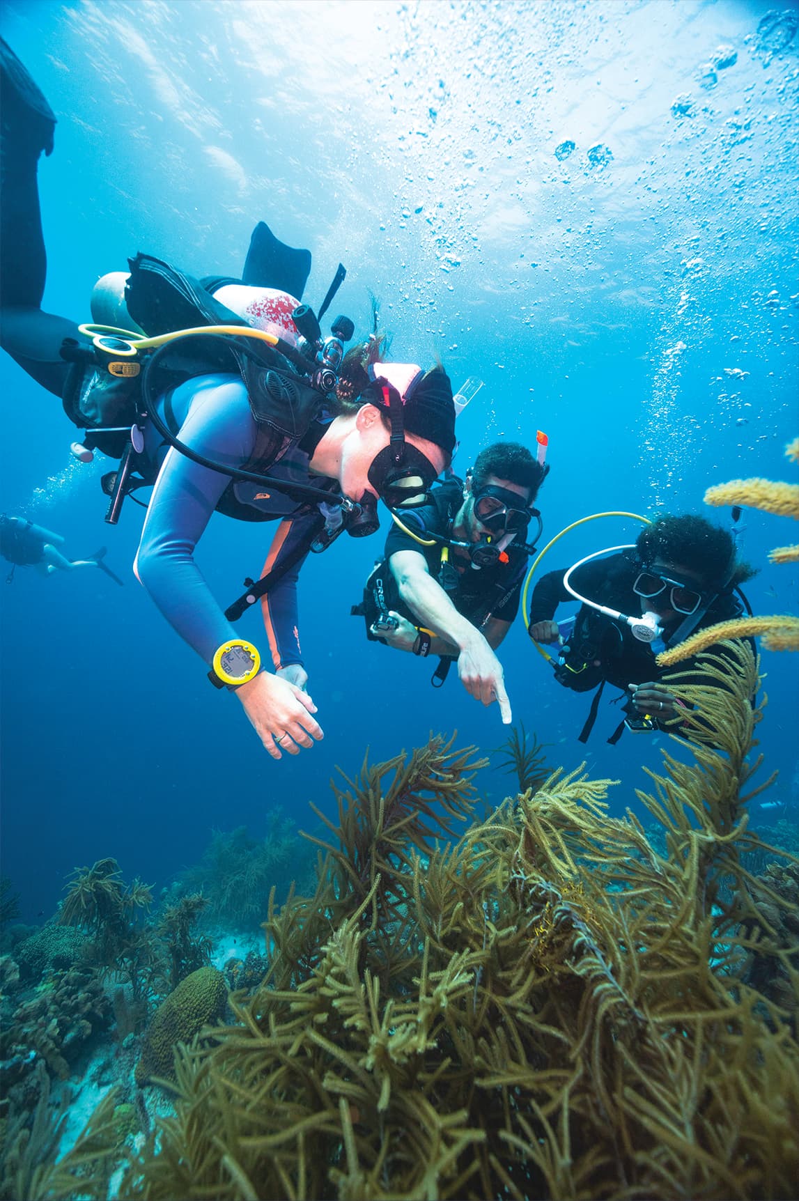 Diver exploring a wreck