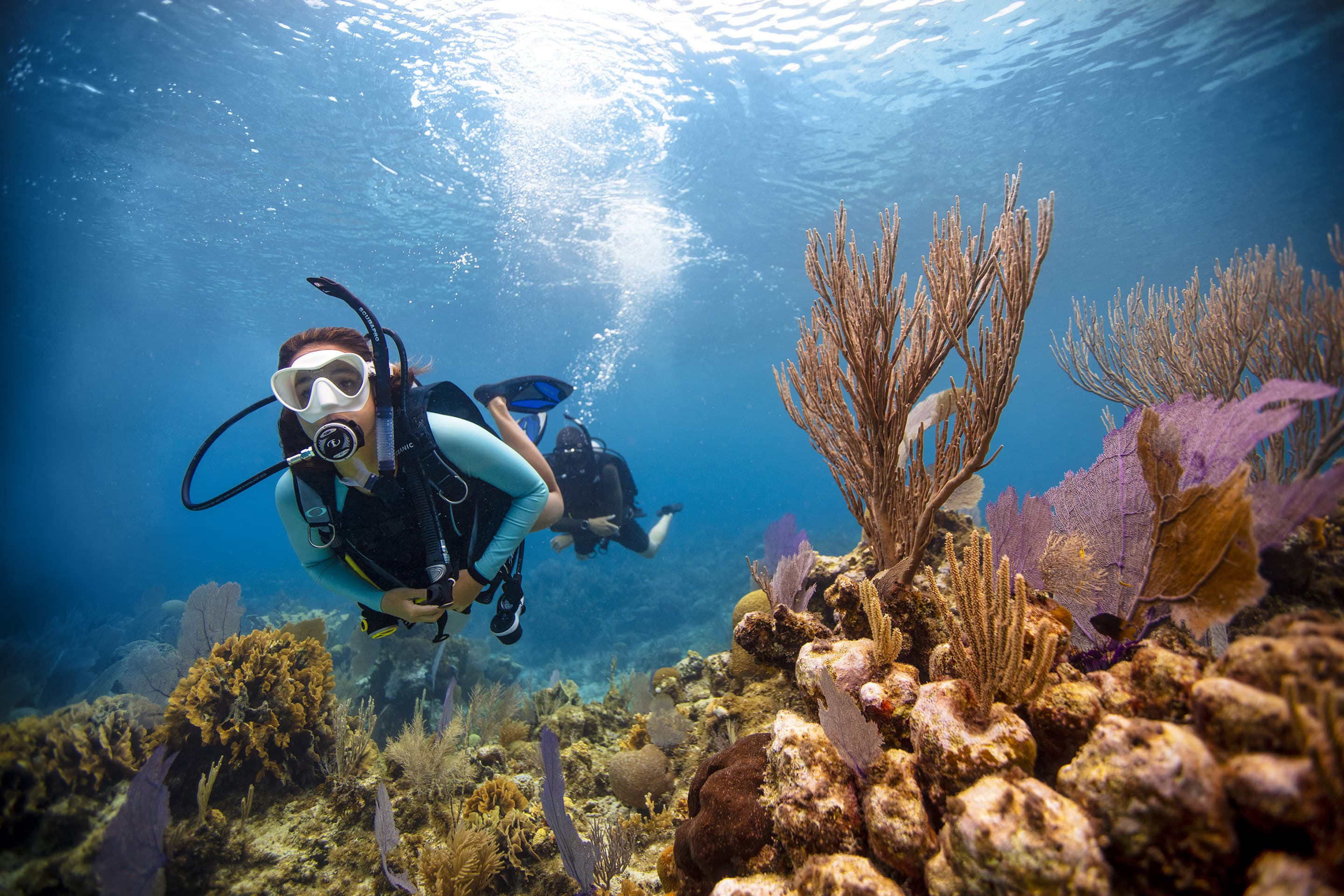 Open water diver training