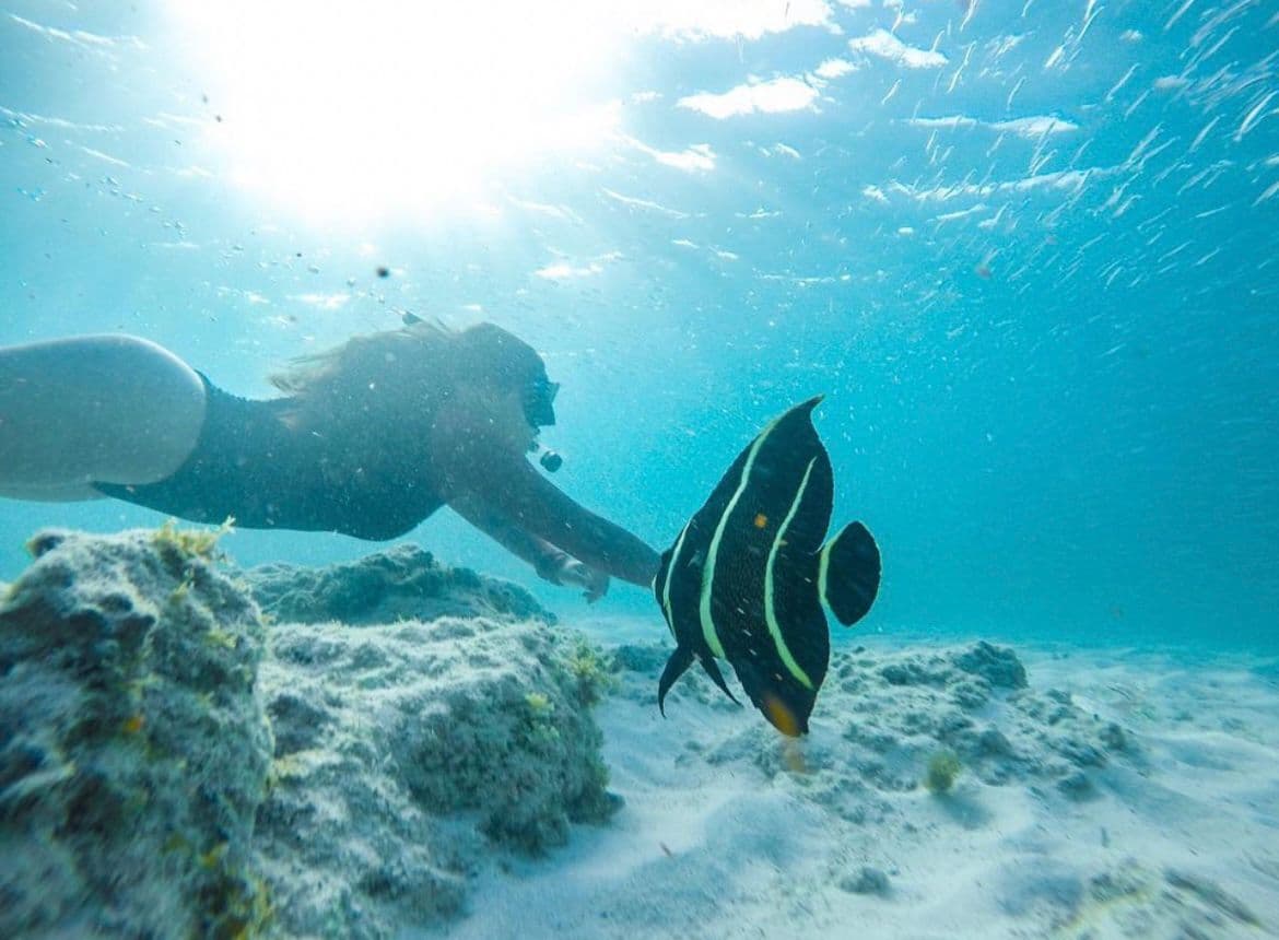 Family-friendly dive moment