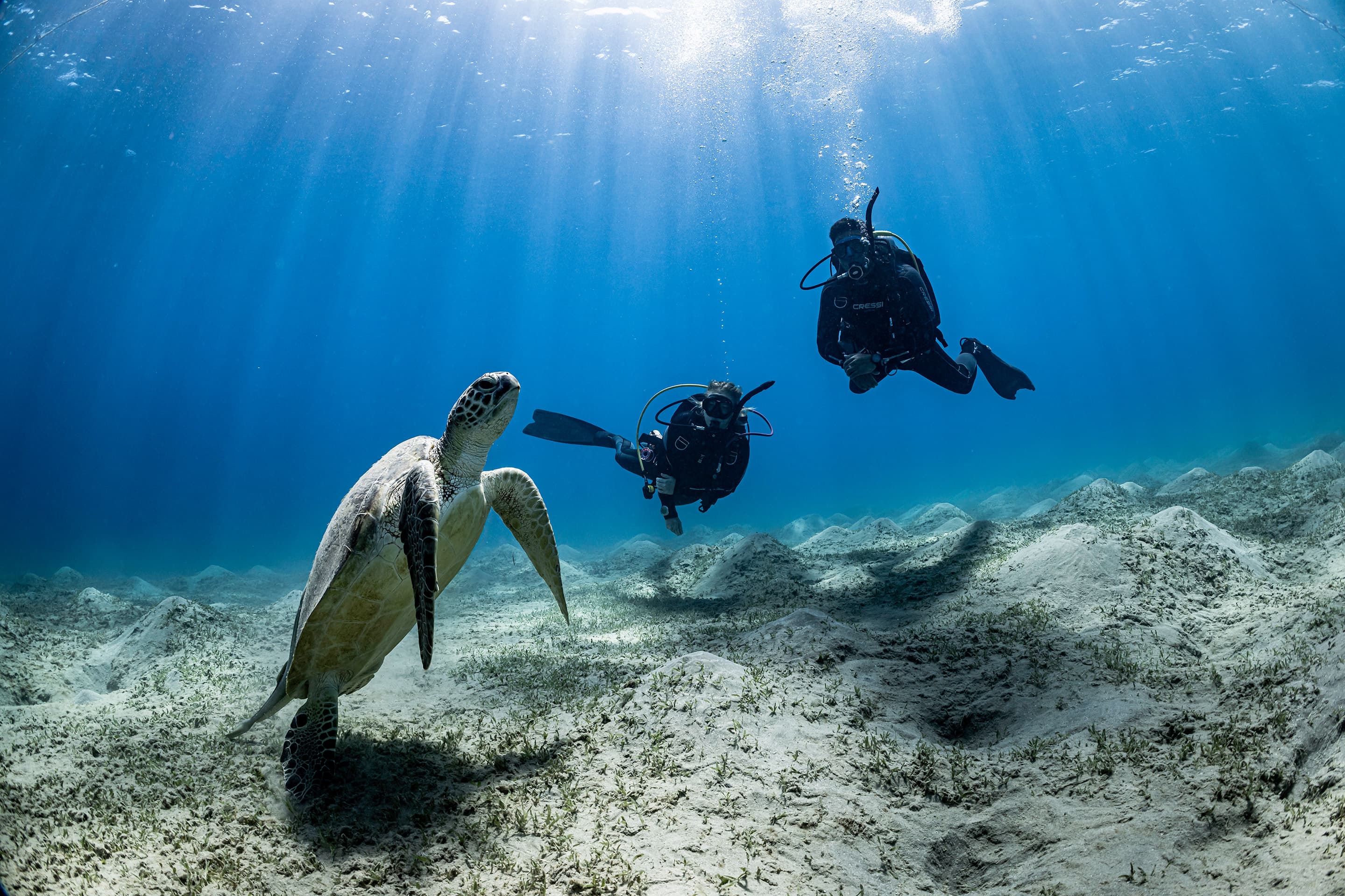 Two divers preparing for second dive